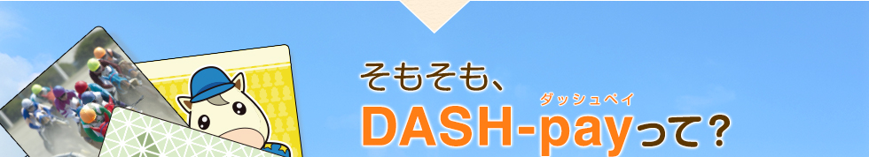 そもそも、DASH-payって？